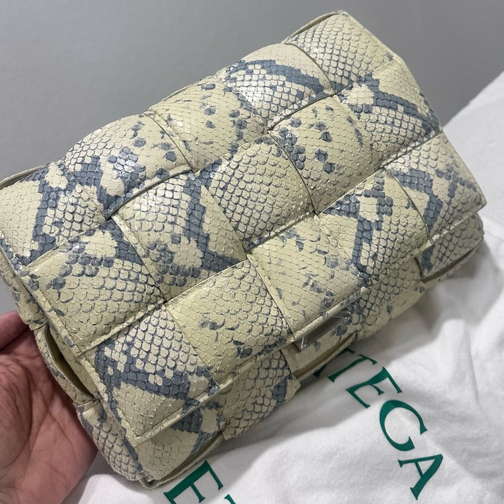 Bottega Veneta Beige and Gray Snakeskin Bag
